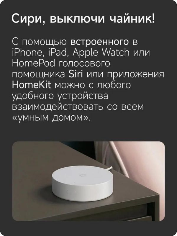 Центр управления умным домом Mi Smart Home Hub ZNDMWG02LM (YTC4044GL)